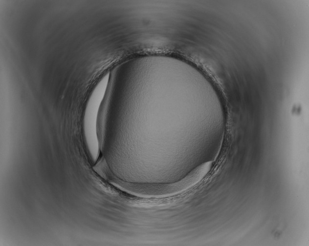 X0000098130017200805011331