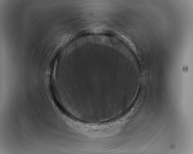 X0000098130018200805011331