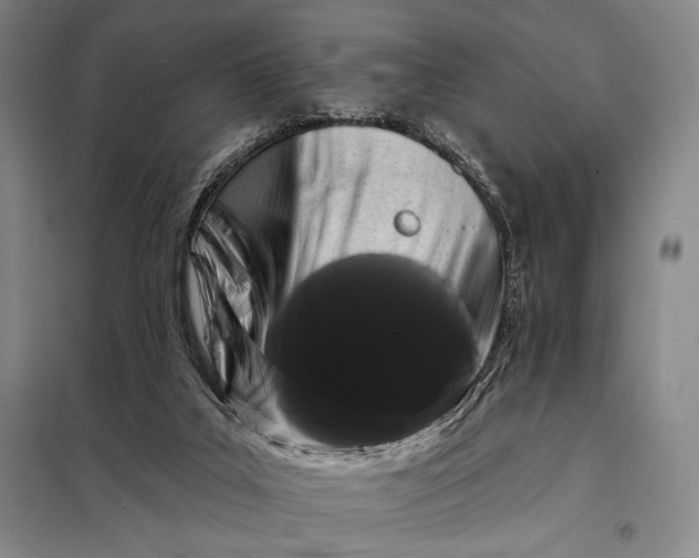 X0000098130019200805011331