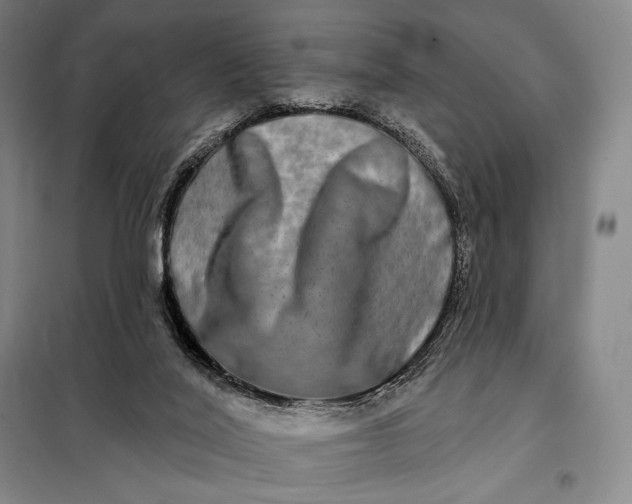 X0000098130020200805011331