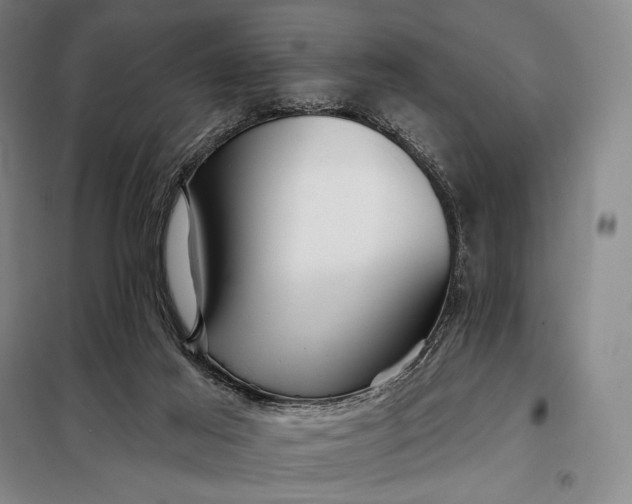 X0000098130021200805011331