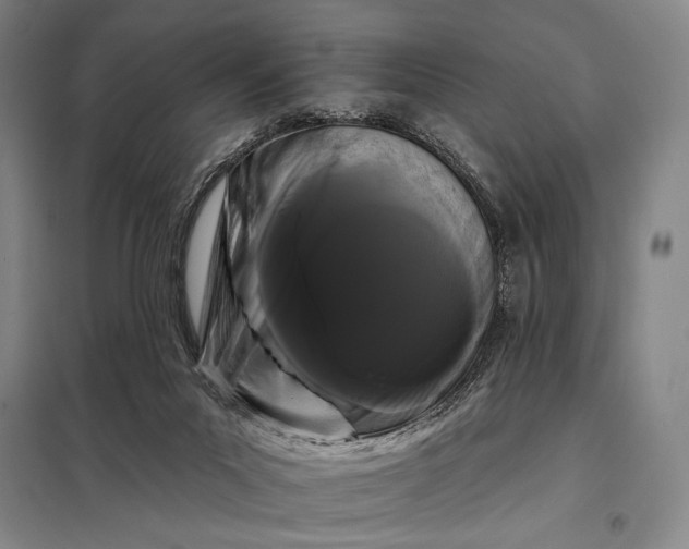 X0000098130023200805011331