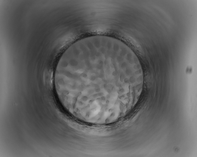 X0000098130024200805011331