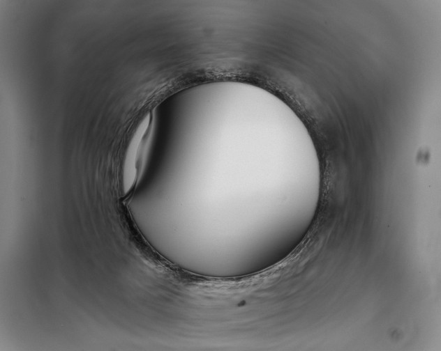 X0000098130025200805011331