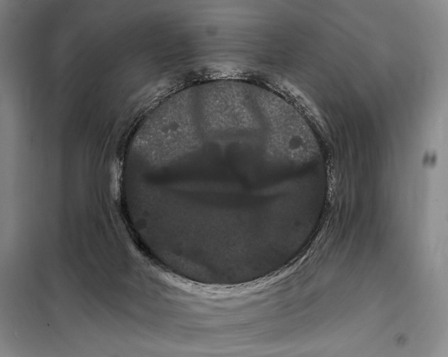 X0000098130026200805011331