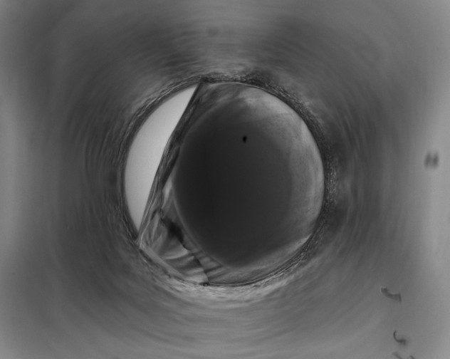 X0000098130027200805011331