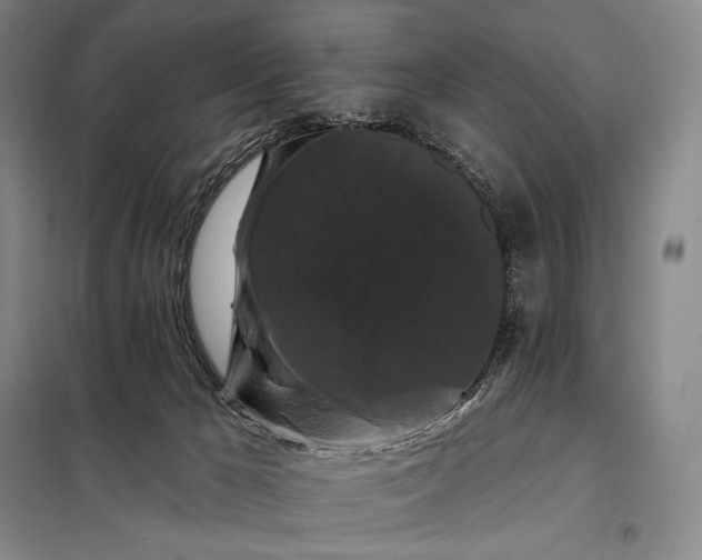 X0000098130029200805011331