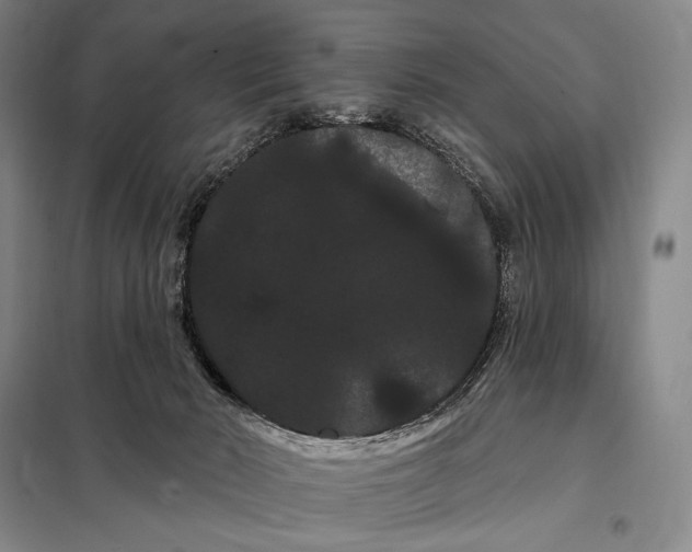 X0000098130030200805011331