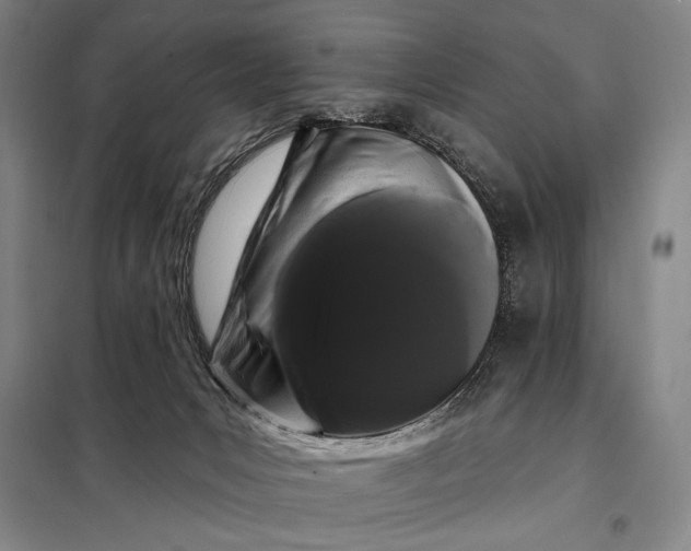 X0000098130031200805011331