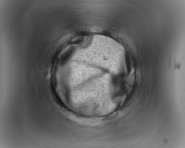 X0000098130032200805011331