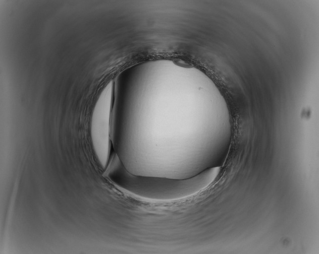 X0000098130033200805011331