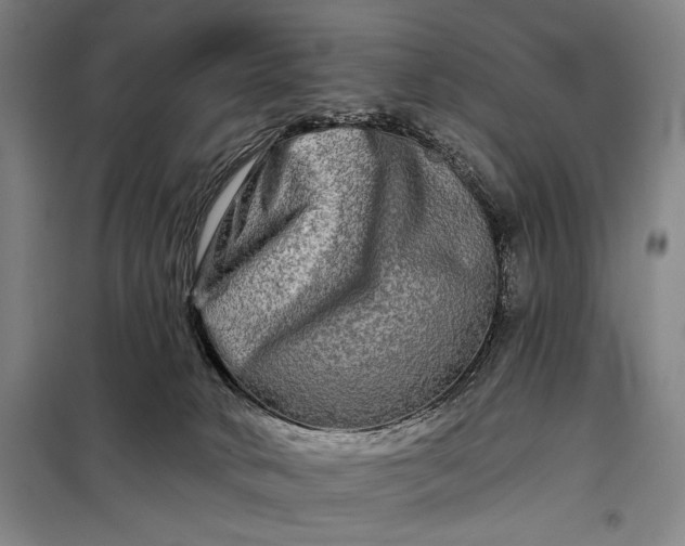 X0000098130034200805011331