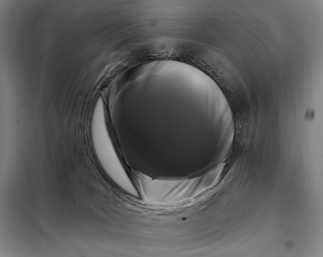 X0000098130035200805011331