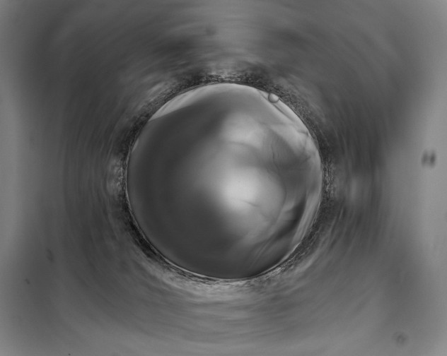 X0000098130036200805011331
