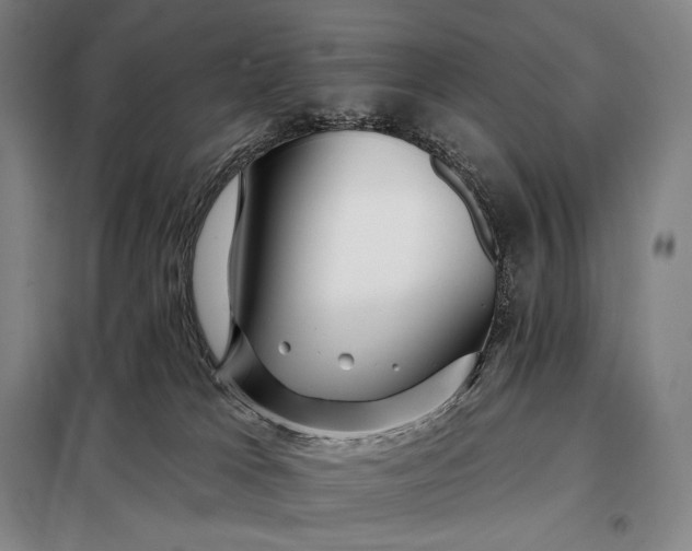 X0000098130037200805011331