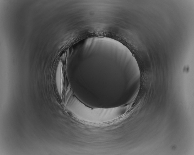 X0000098130039200805011331