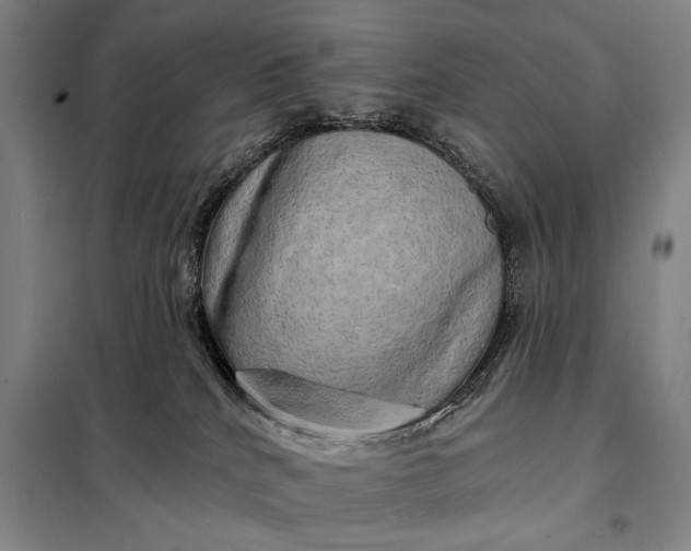 X0000098130040200805011331