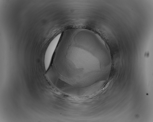 X0000098130041200805011331
