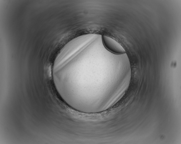 X0000098130042200805011331