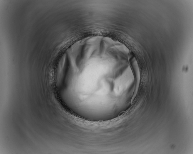 X0000098130043200805011331