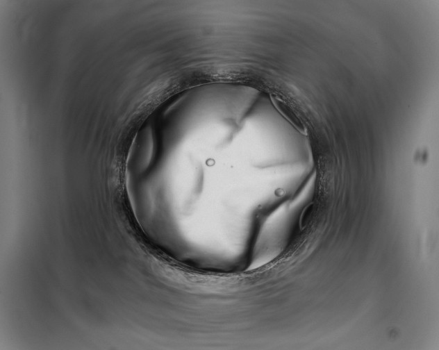 X0000098130044200805011331