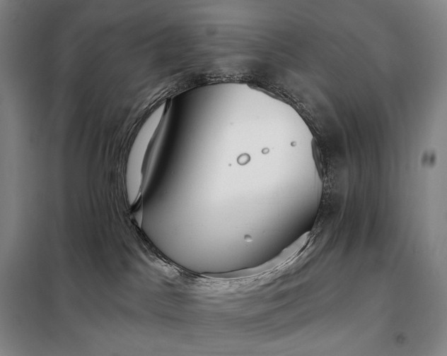 X0000098130045200805011330