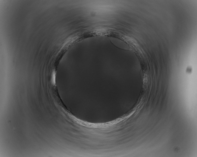 X0000098130046200805011330
