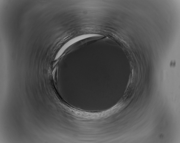 X0000098130048200805011330