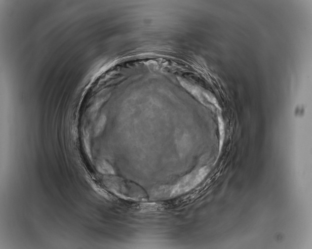 X0000098130050200805011330