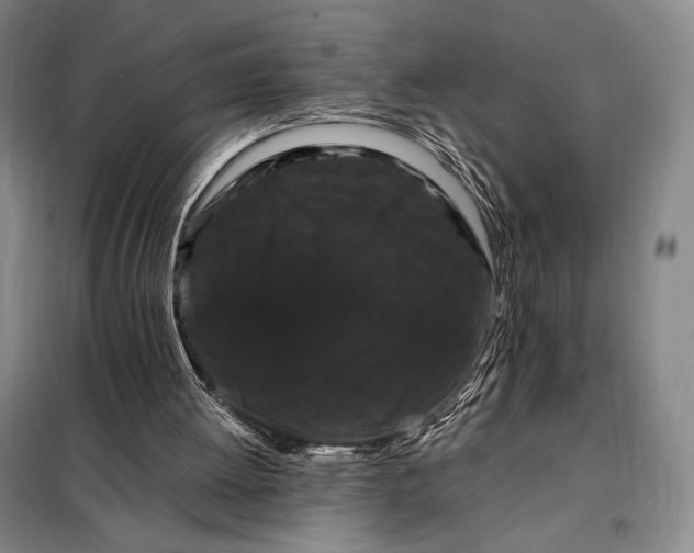 X0000098130052200805011330