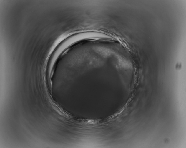 X0000098130056200805011330