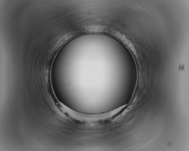 X0000098130057200805011330