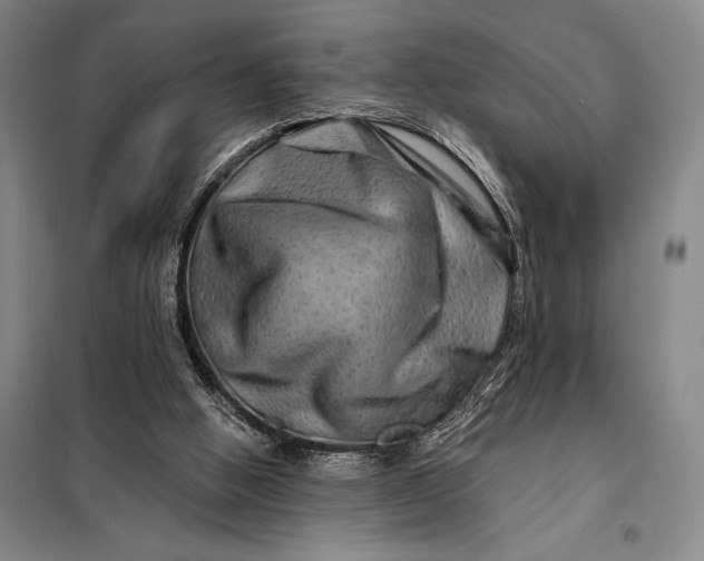 X0000098130058200805011330
