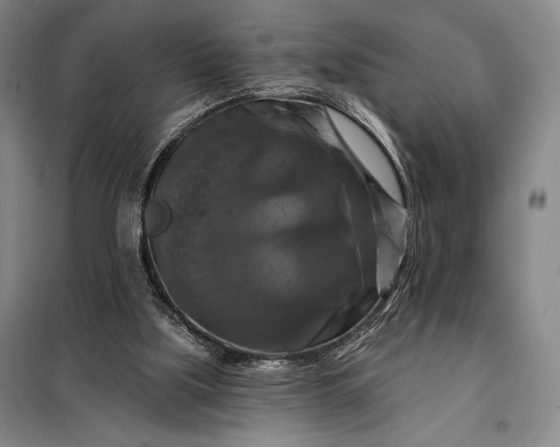 X0000098130059200805011330