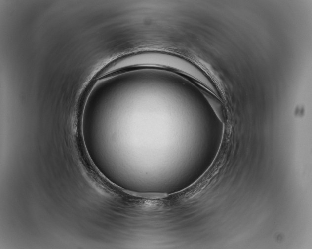X0000098130060200805011330