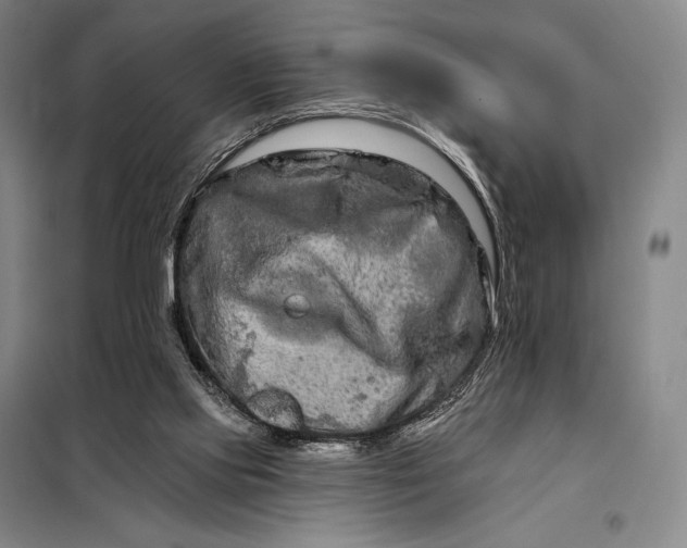 X0000098130061200805011330