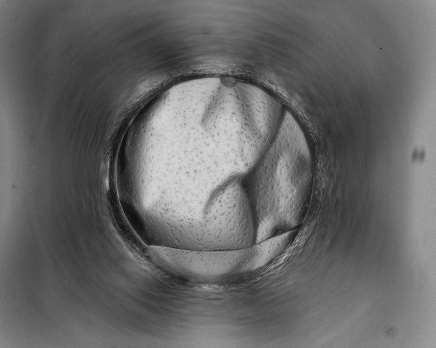X0000098130062200805011330