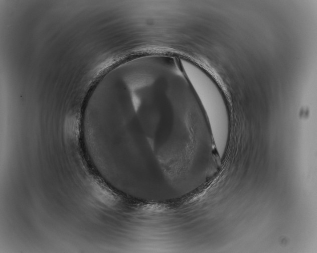 X0000098130063200805011330