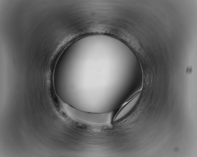 X0000098130064200805011330