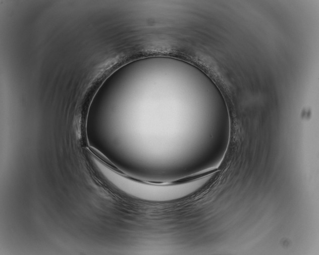 X0000098130068200805011330
