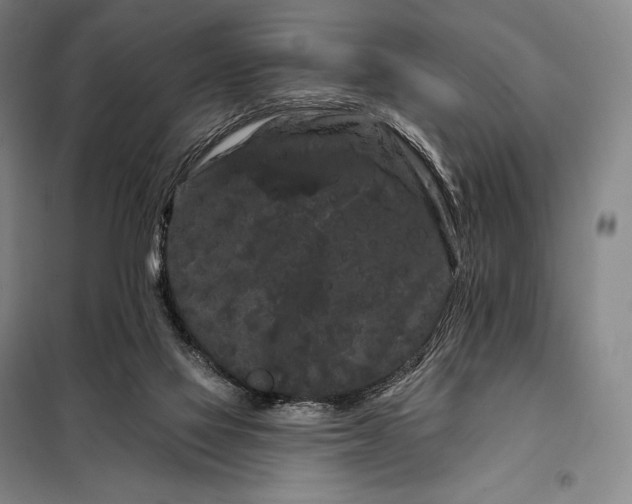 X0000098130069200805011330