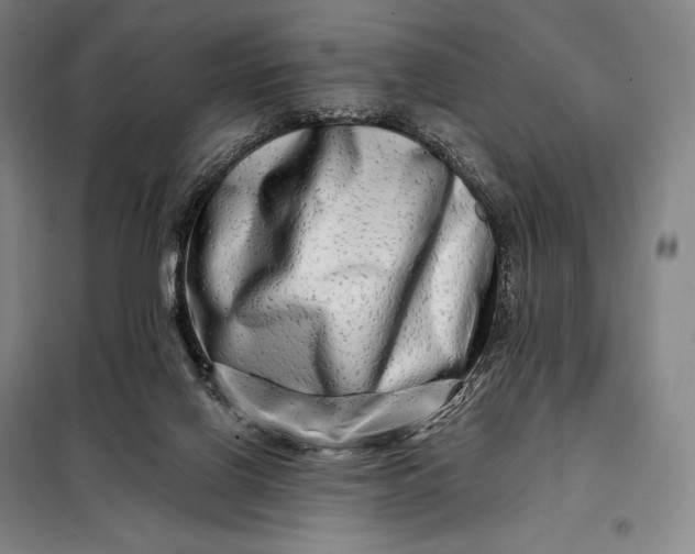 X0000098130070200805011330