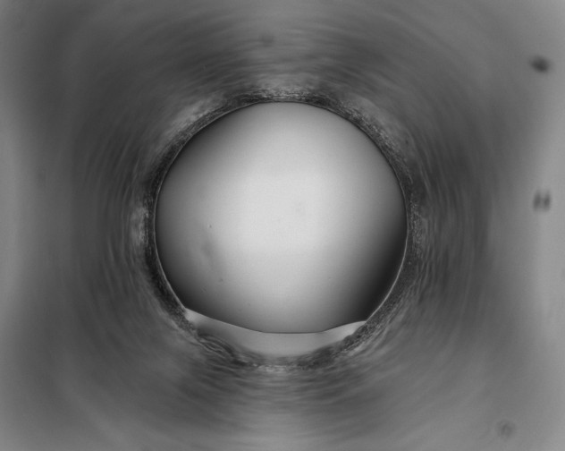 X0000098130071200805011330