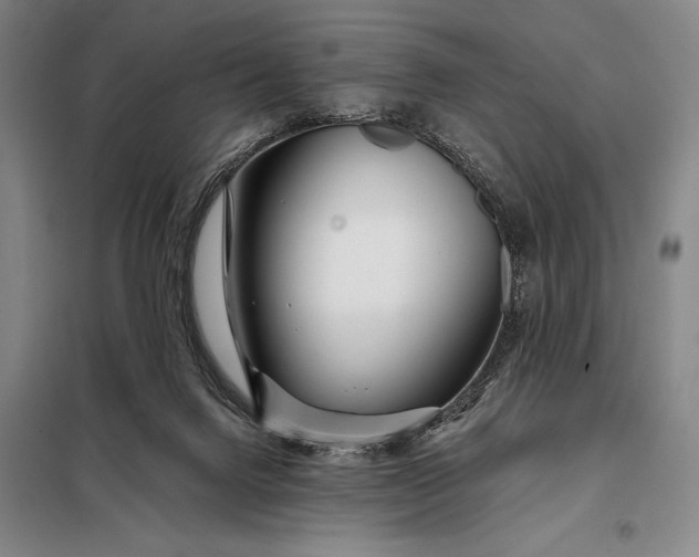 X0000098130072200805011330
