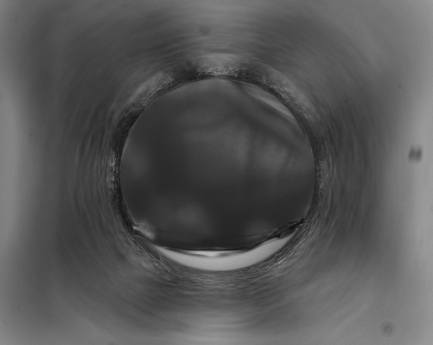 X0000098130073200805011330