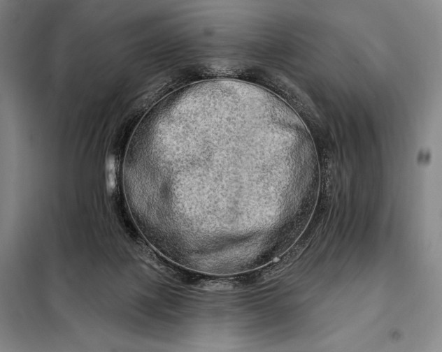 X0000098130075200805011330