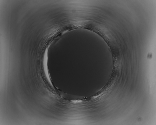 X0000098130076200805011330