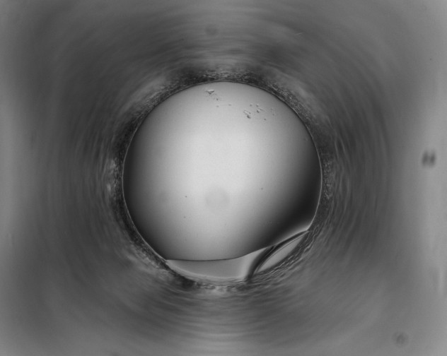 X0000098130077200805011330