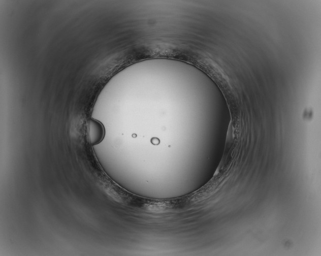 X0000098130079200805011330