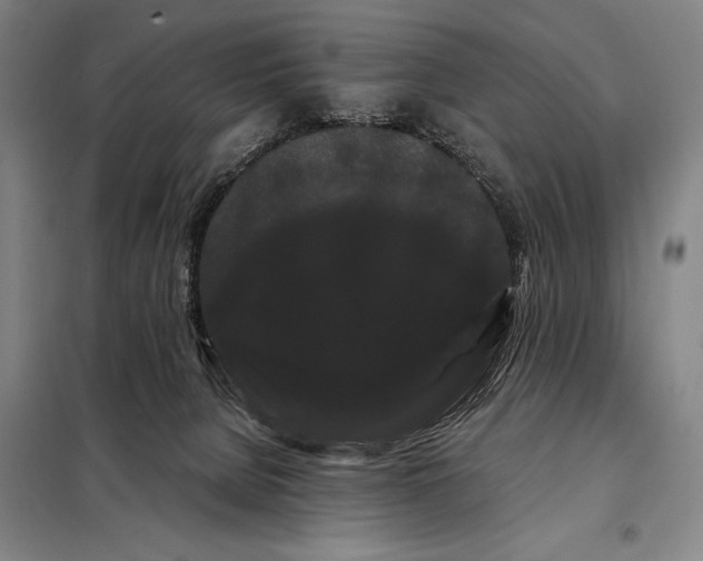 X0000098130080200805011330